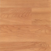 Polysafe Wood FX PUR Safety Flooring