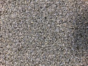 Paragon Evolve Carpet Tiles