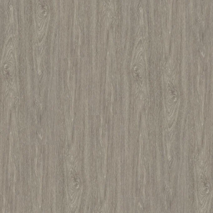 Grey Elm 2935